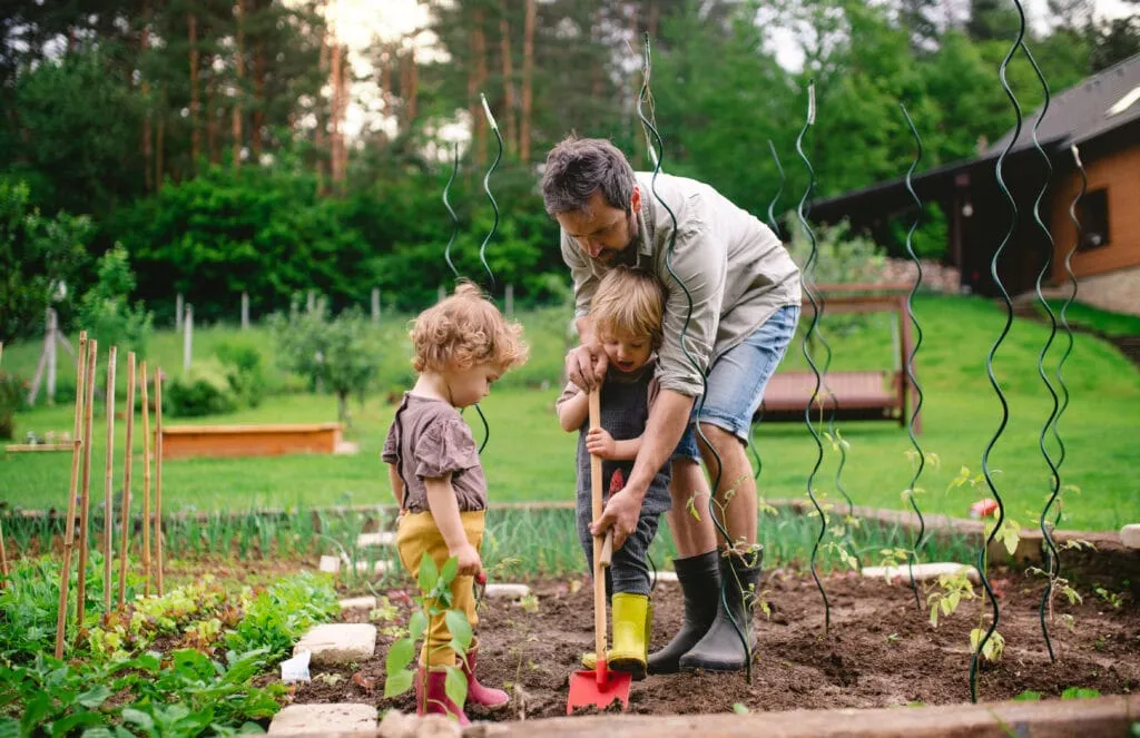 Is Now a Good Time to Start a Home Garden?