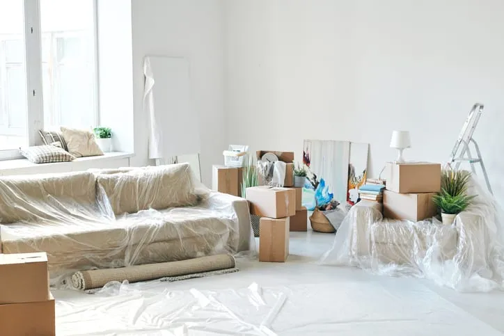 What's Making Your House Look Messy
