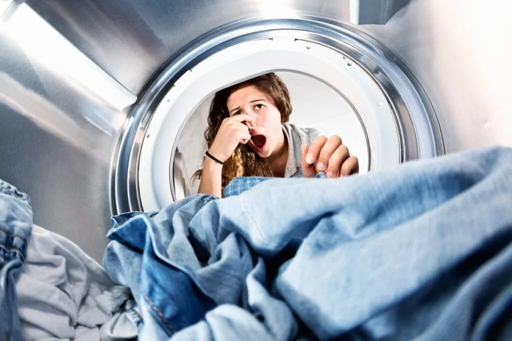 Mildew vs. Mold: What is the Difference?