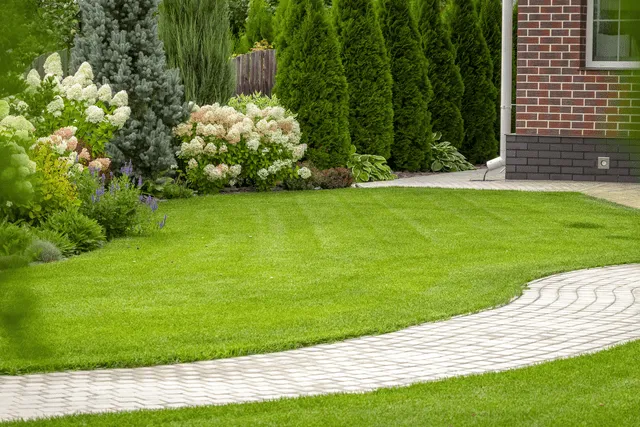 How to Grow Grass for Your New Lawn