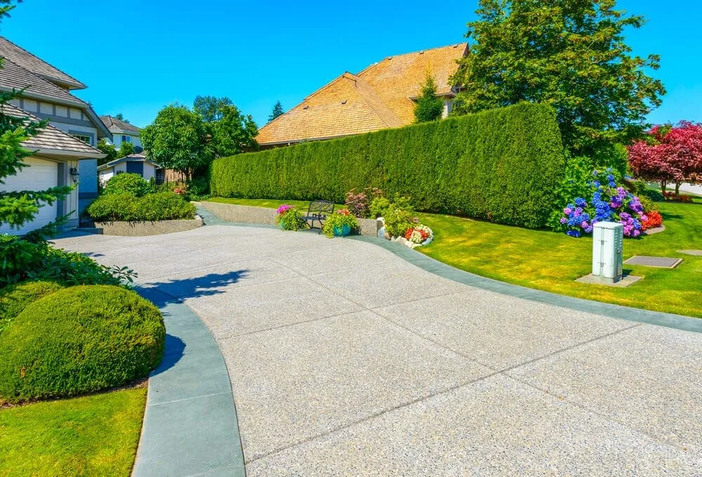 How to Get a Living Privacy Fence