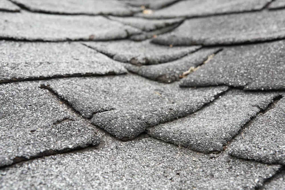 3 Early Signs That You Need to Replace Your Roof