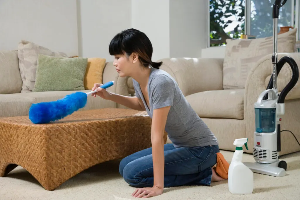 How To Get Rid of Dust Mites in Your Home and Keep Allergies at Bay