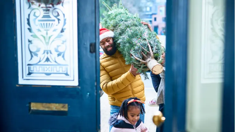 Mid adult man in Santa hat carefully carrying Christmas tree through open doorway with daughter ahead of him