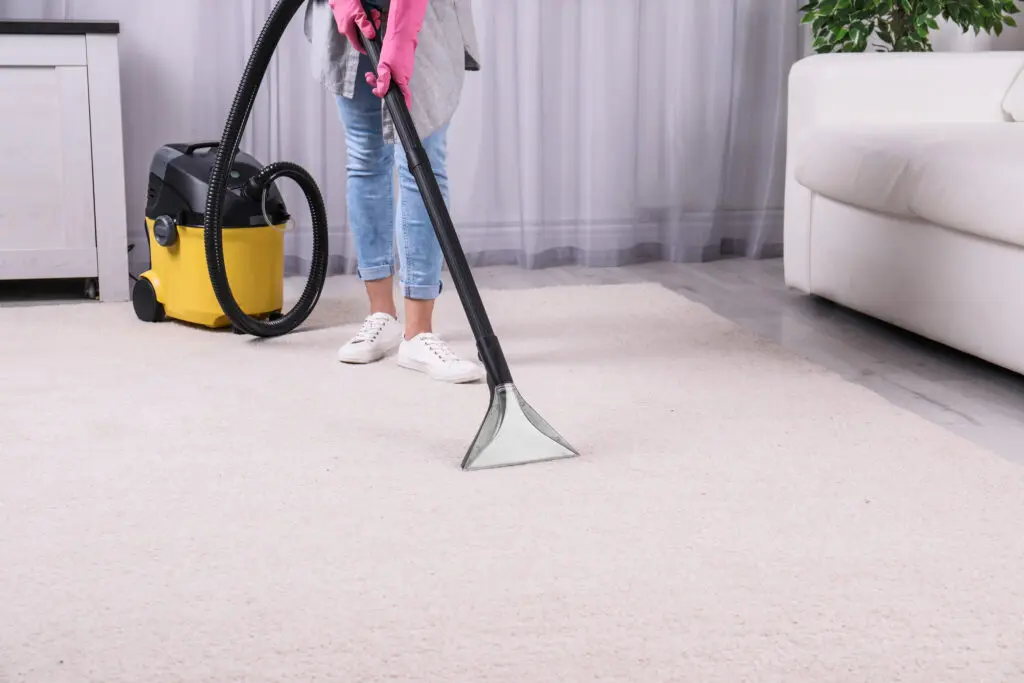 The Best Carpet Cleaners to Buy in 2021