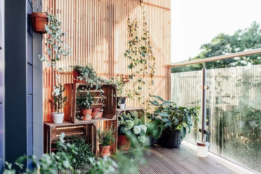 Container Gardens: Landscaping for Renters