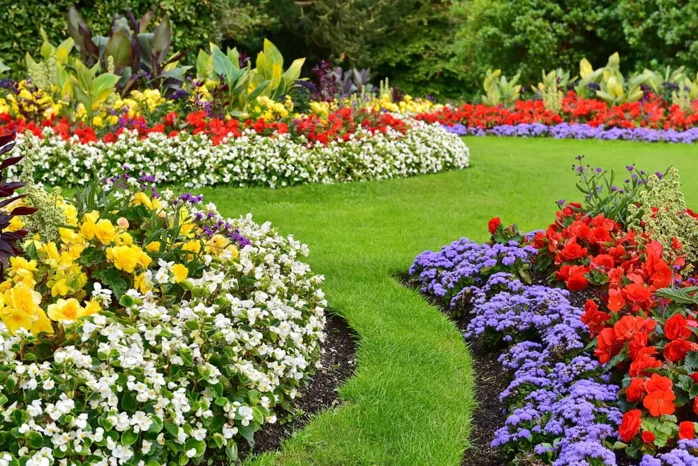 How to Pick a Garden Color Palette