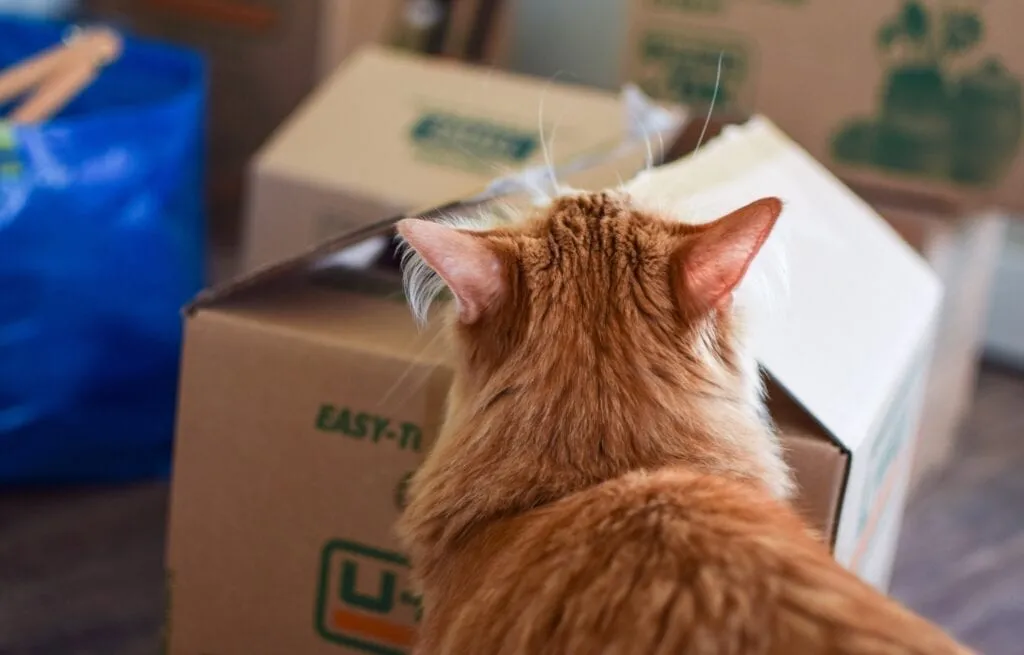 State-By-State Guide to Moving with Pets