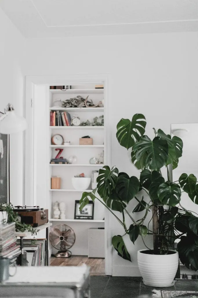 These Are The Biggest 2019 Interior Design Trends, According To The Pros