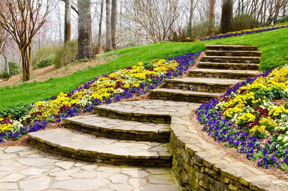 Ideas to Perfect Your Landscape Edging