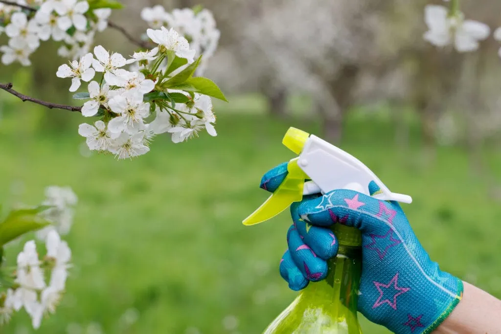 7 Natural Pest Control Remedies That Work