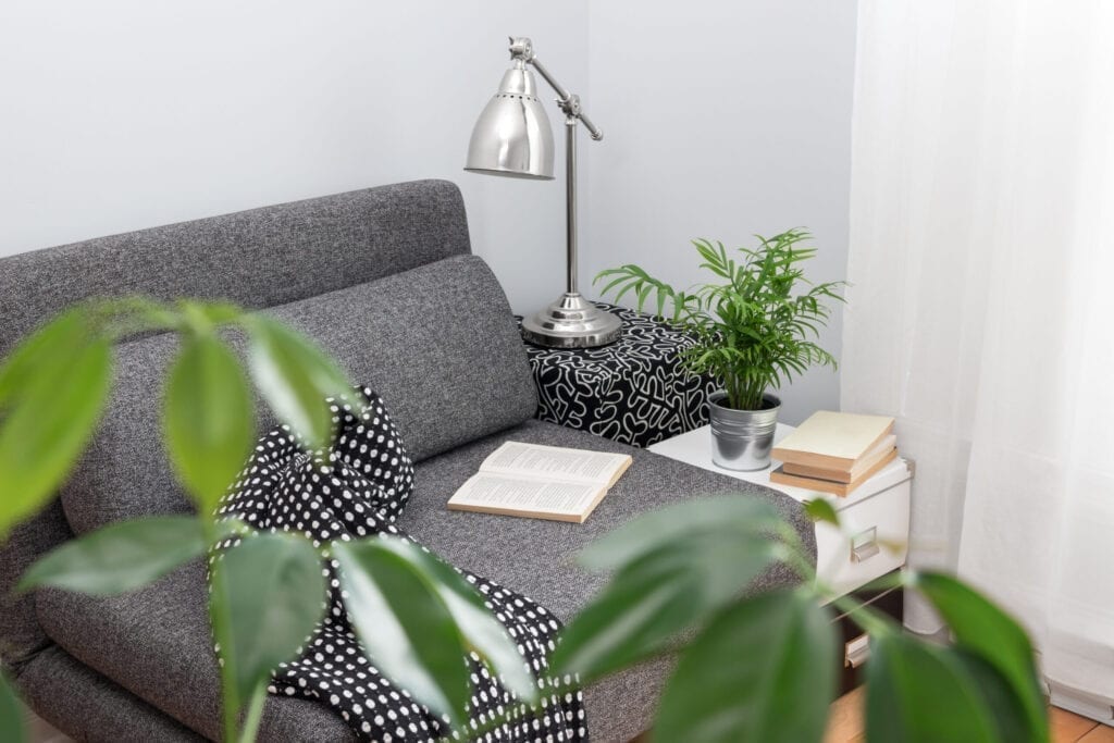 Comfortable place for reading in a living room, decorated with plants.