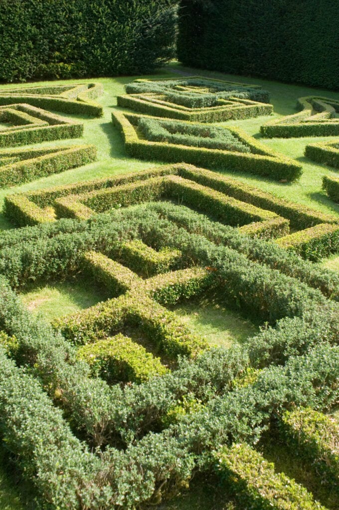 Knot Garden, Antony House