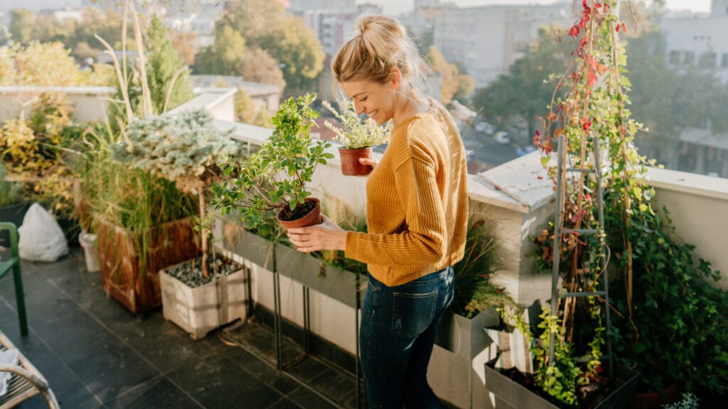 rooftop-garden