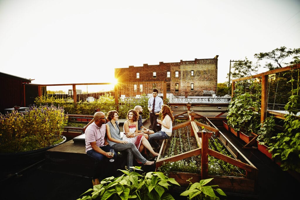 rooftop vegetable garden 