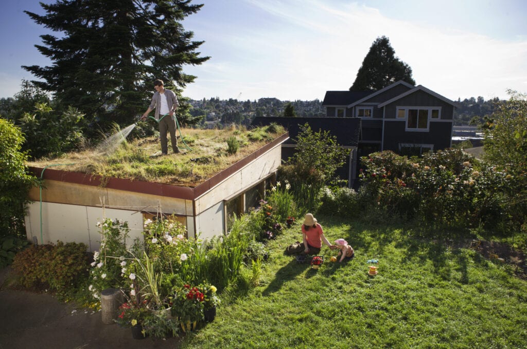 rooftop garden on home 