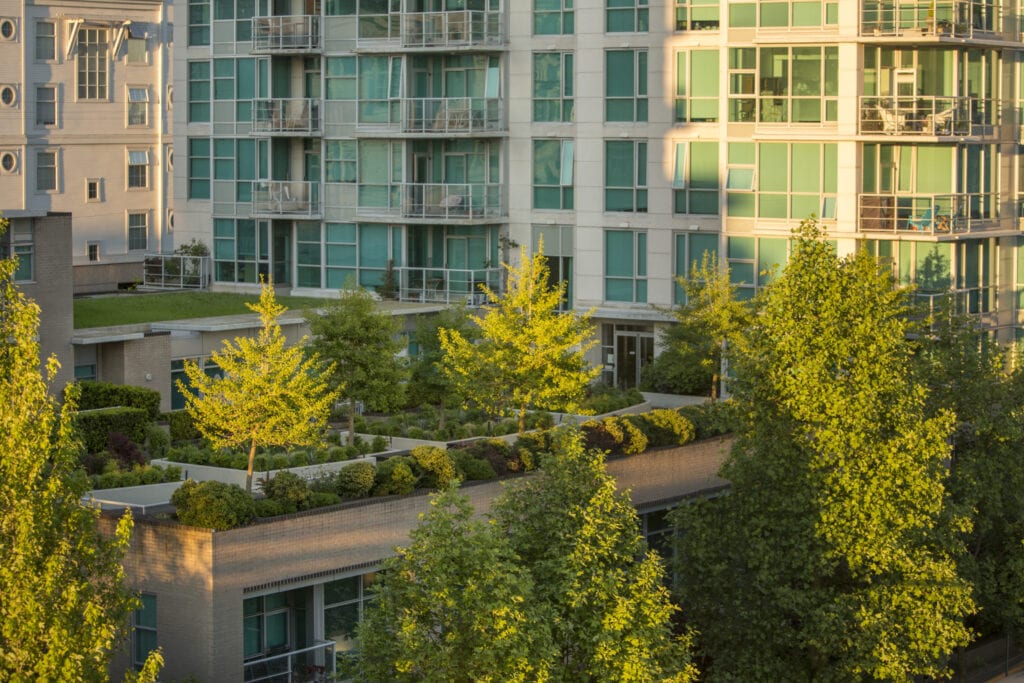 rooftop-garden