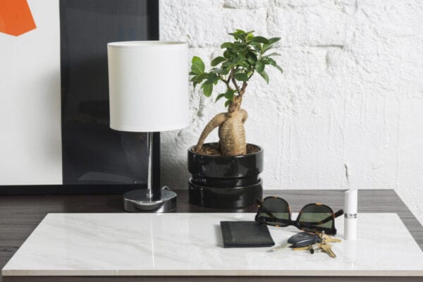 Close-up of lamp and houseplant by accessories on marble at table