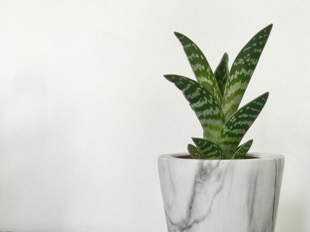 Marble flower vase