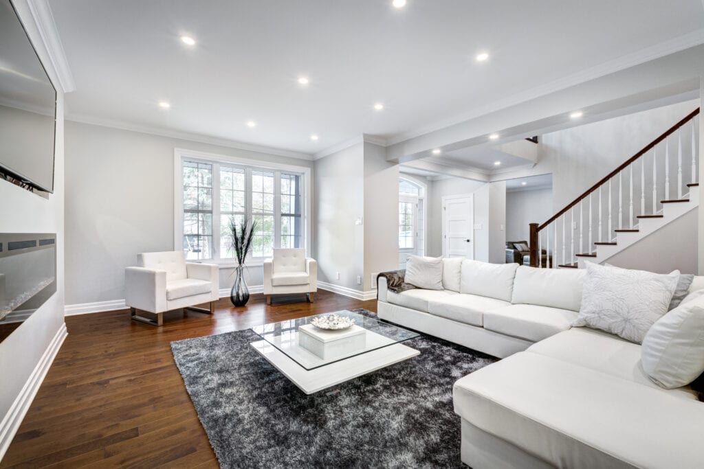 Basement living room