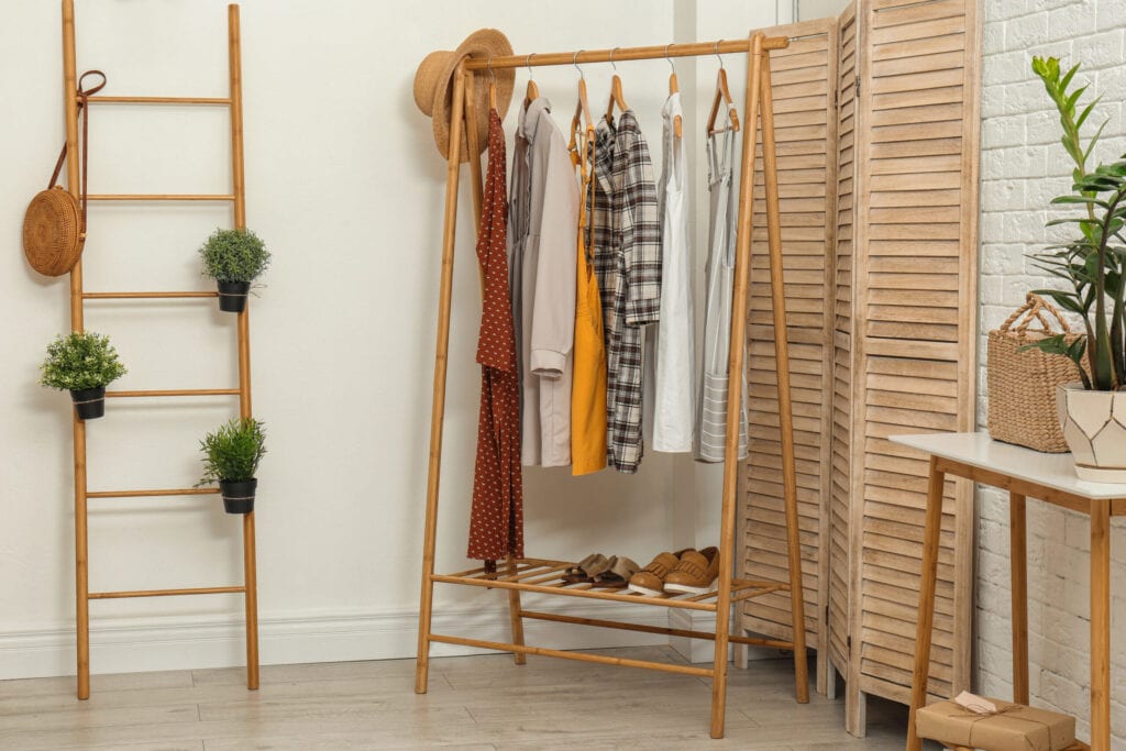 Closet with ladder