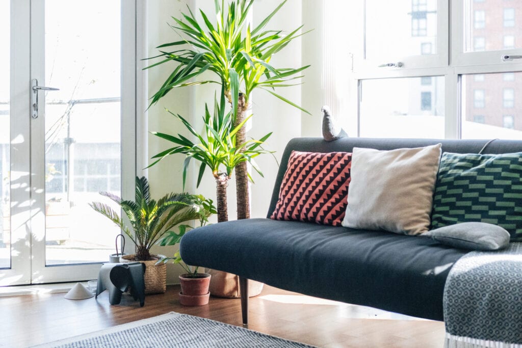 colorful pillows on couch