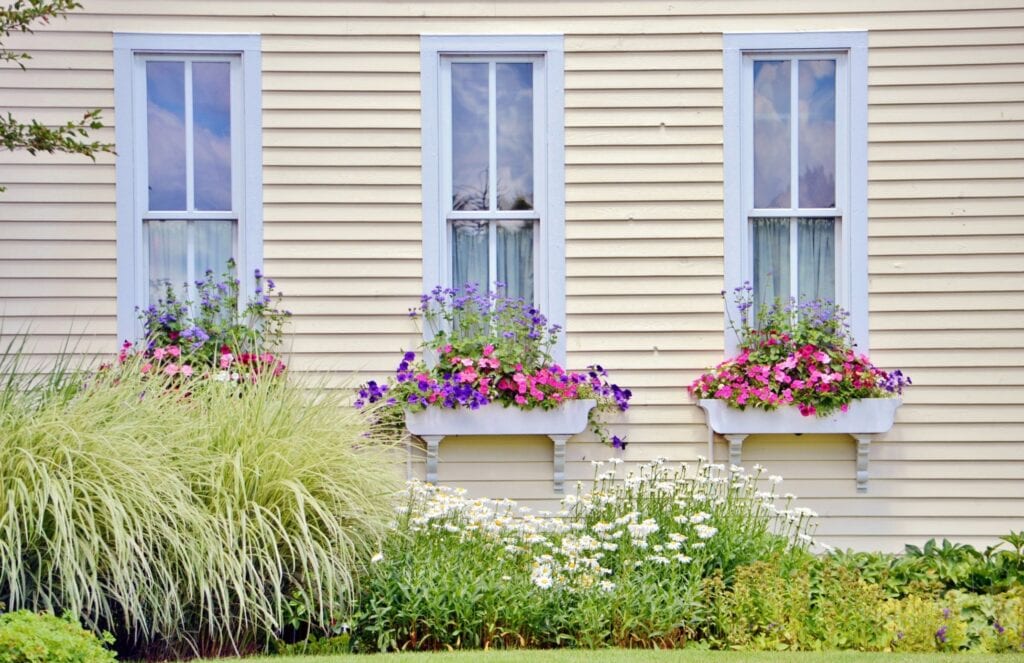 Flower boxes on windows