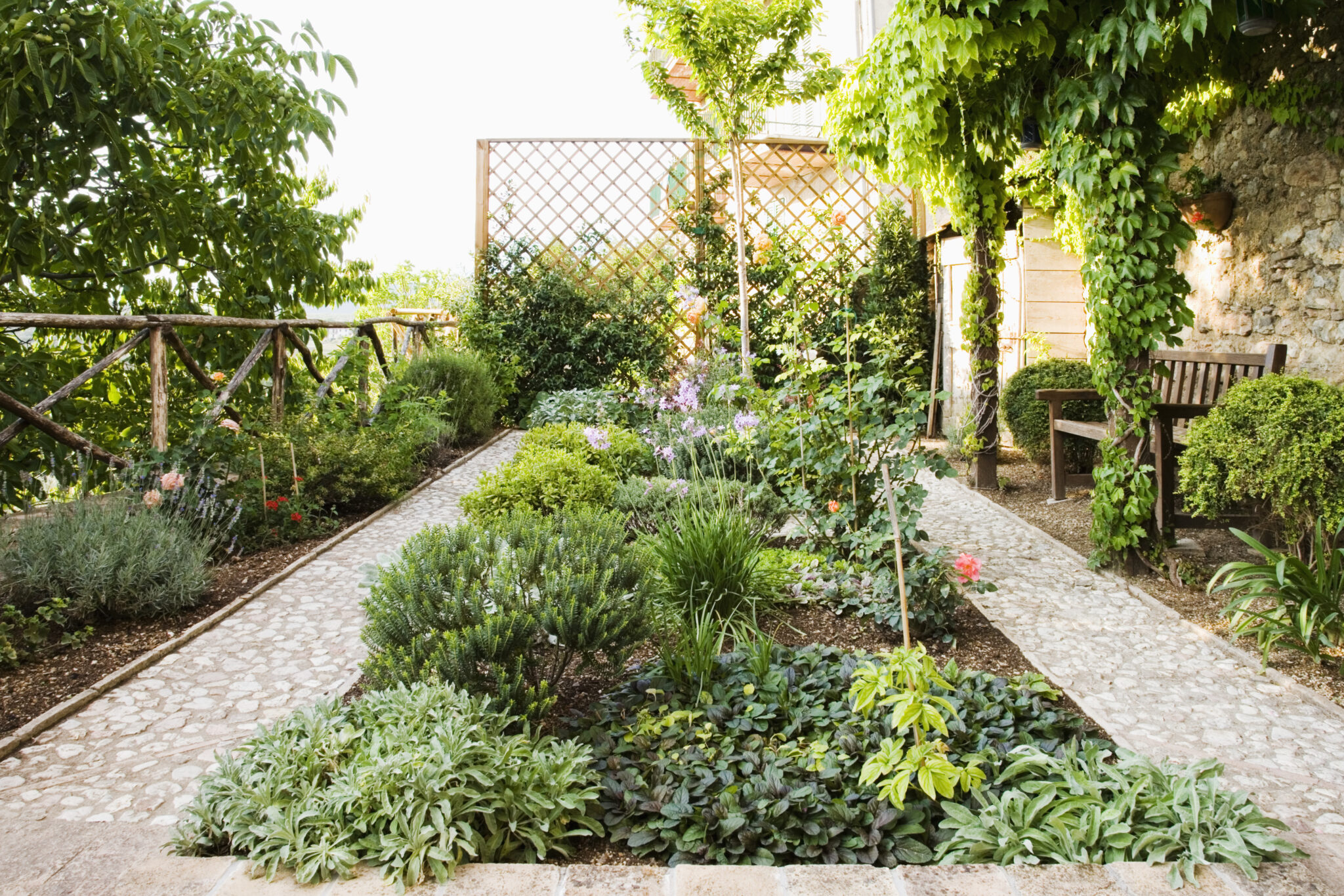 7 Ways to Make Your Yard More Private