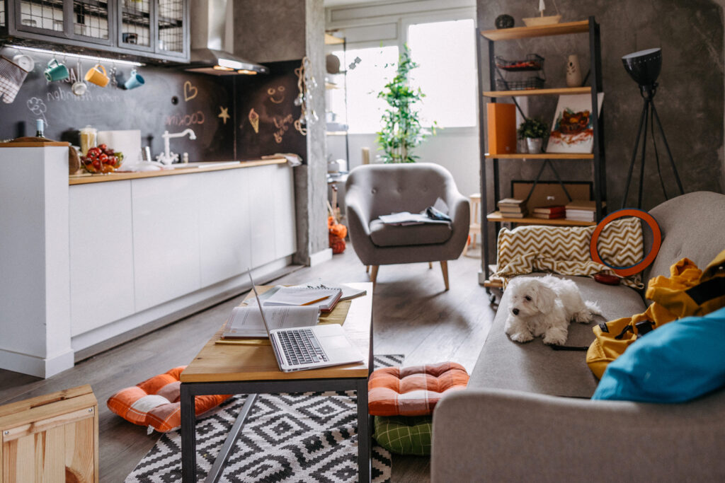 Apartment kitchen with couch