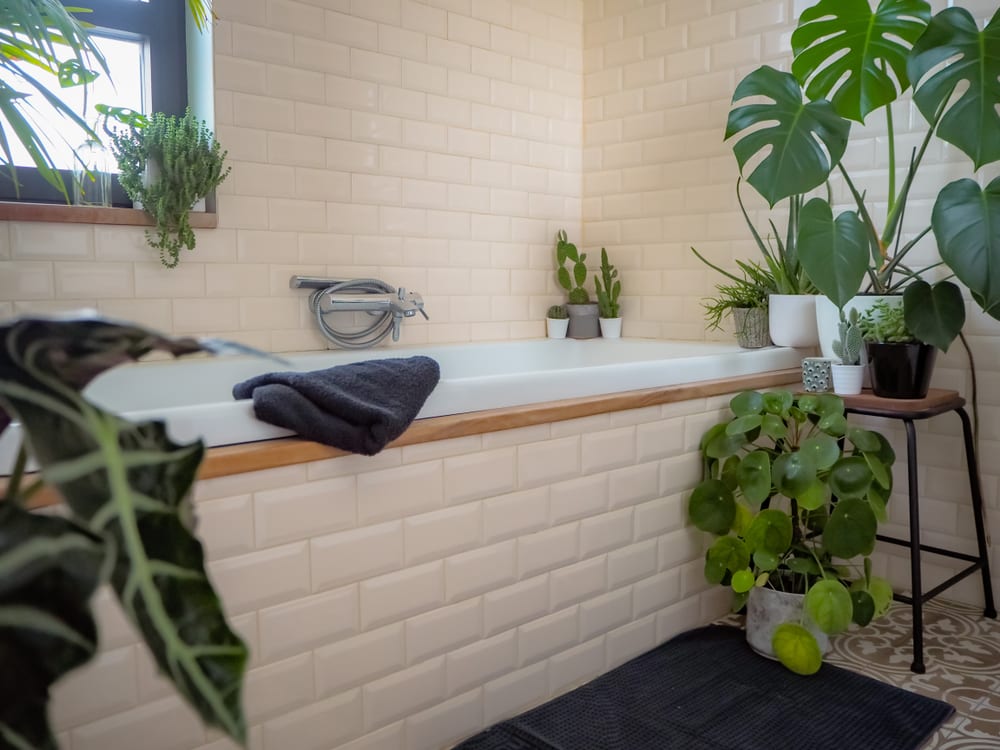 Tropical oasis bathroom with bathtub