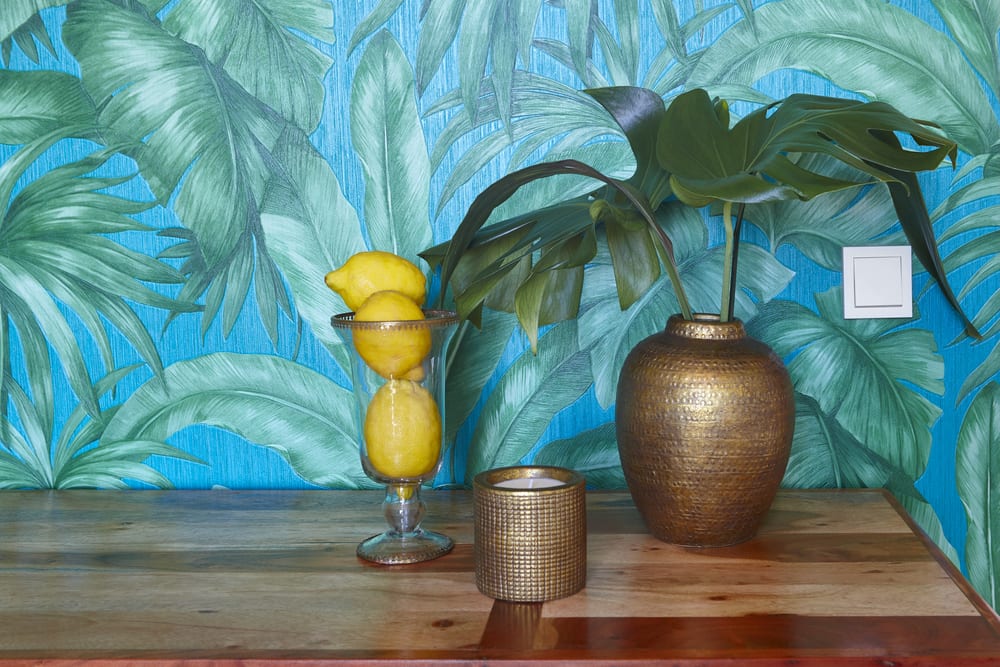 Tropical wallpaper and plant
