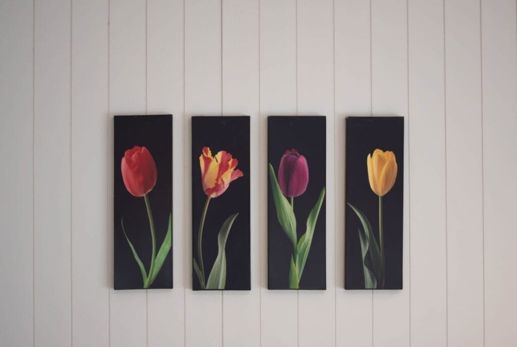 Flower panel paintings hanging on white wall