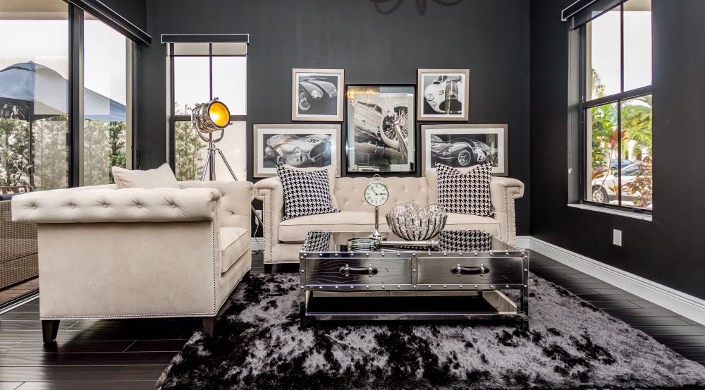 Black and white living room