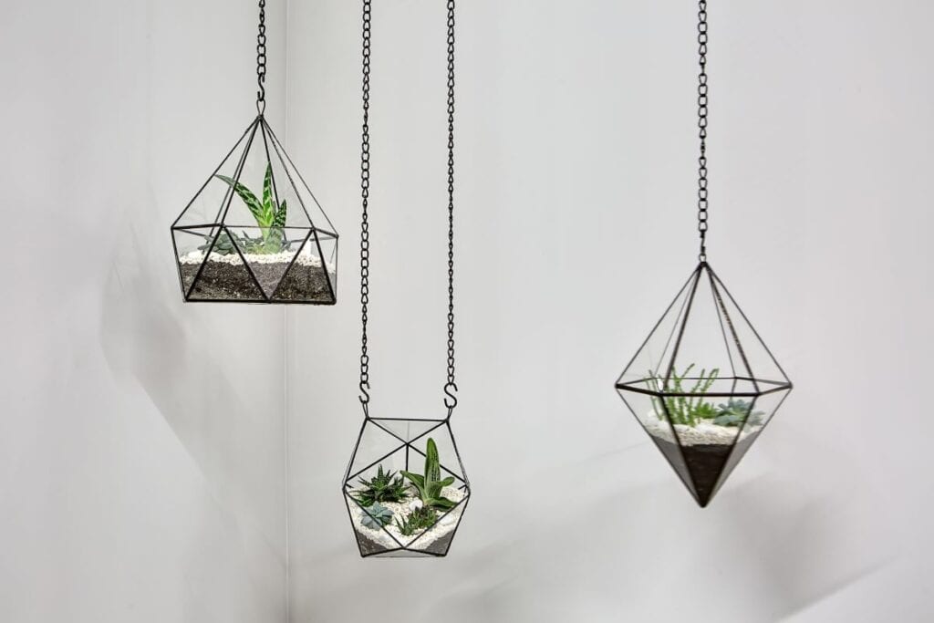 Three succulents in glass vases hanging in corner