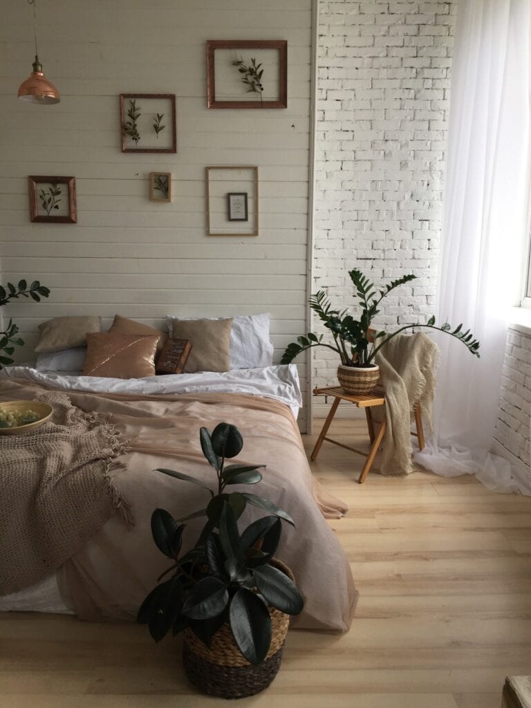 Cozy bedroom with plant