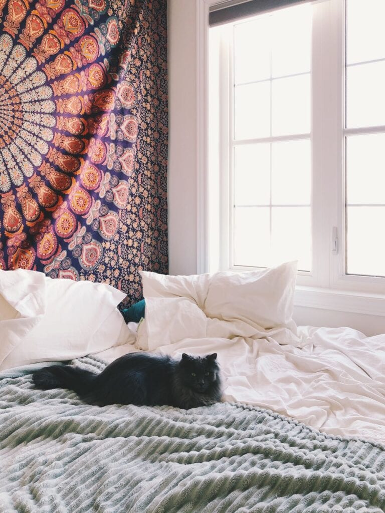 Cozy bedroom decorated with tapestry