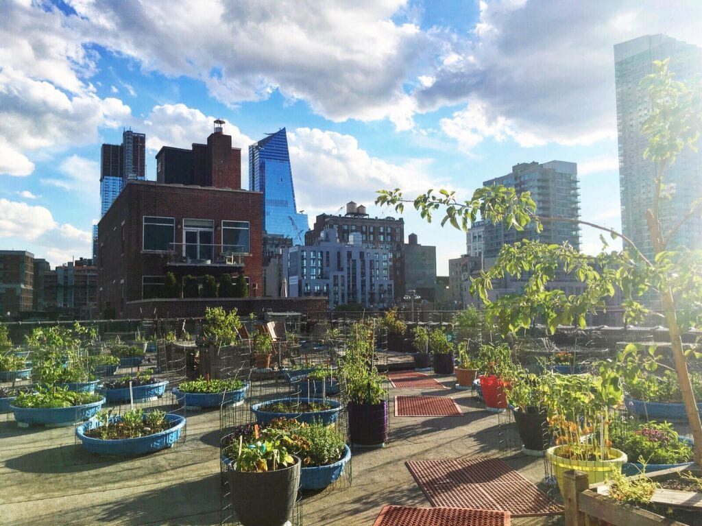 rooftop garden NYC