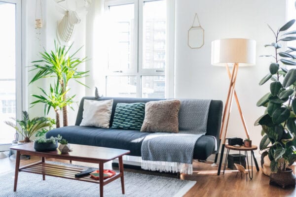 Living room with plants and lots of natural light