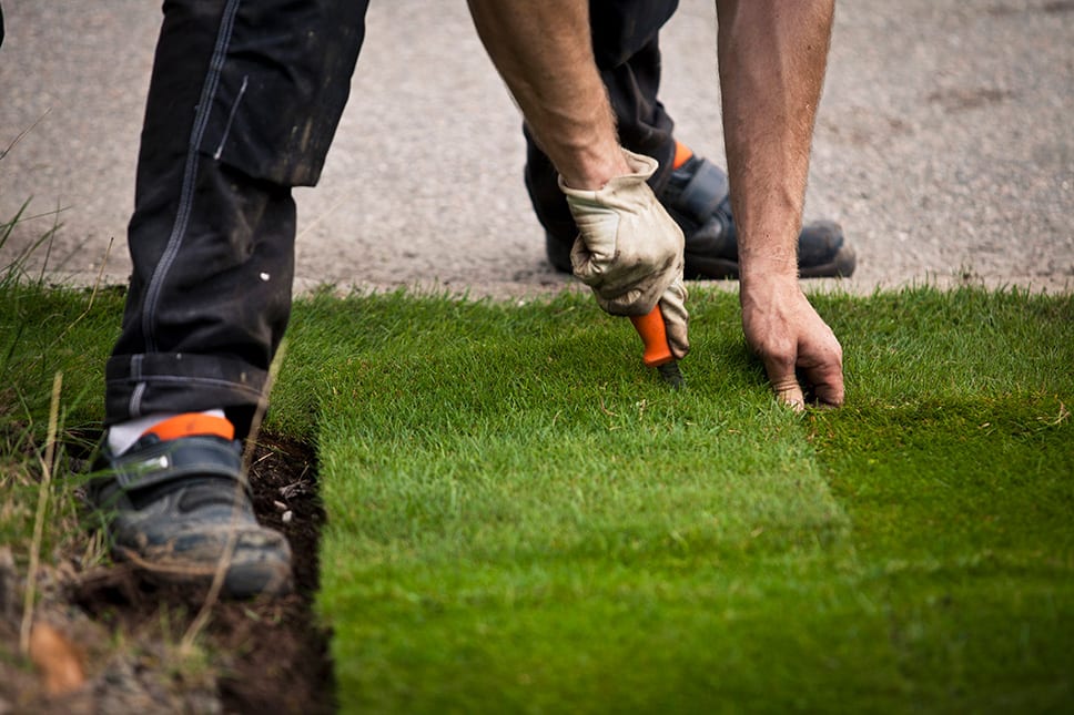 man installing new strip of grass