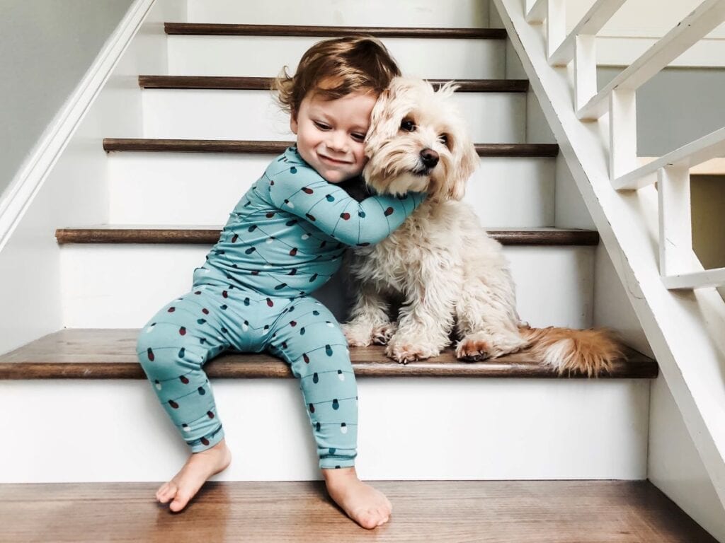 Toddler hugging dog inside their home