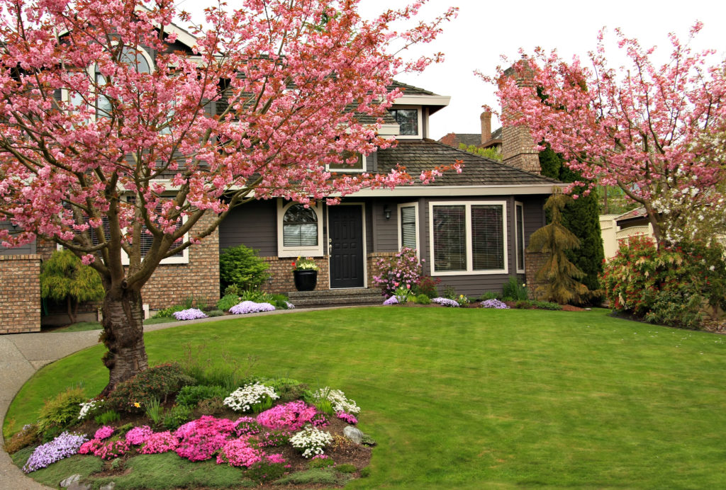  Simple Front Yard Landscaping Ideas Mymove - Landscaping Ideas For Front Of House Full Sun