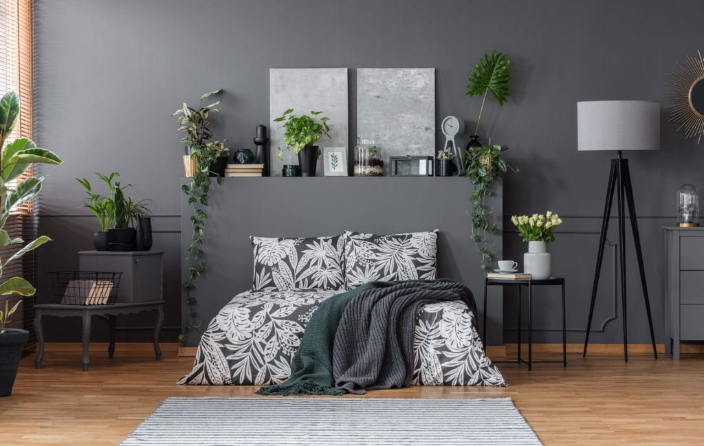 Dark gray bedroom with printed bed comforter
