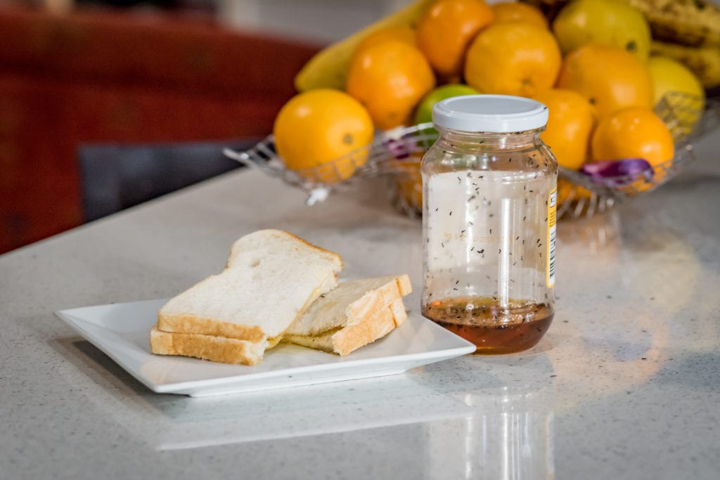 ants on jar of honey in kitchen- how to get rid of ants