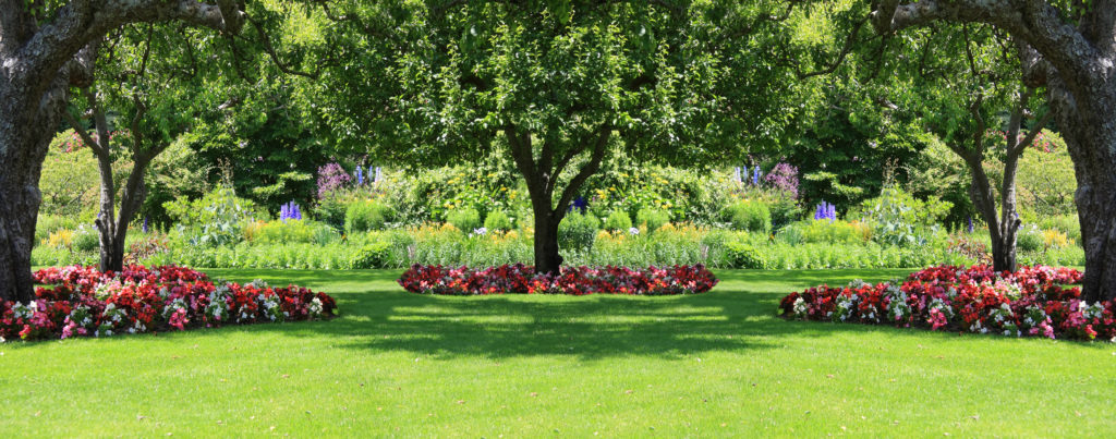 Three trees surrounded by pin k and red flowers in green yard
