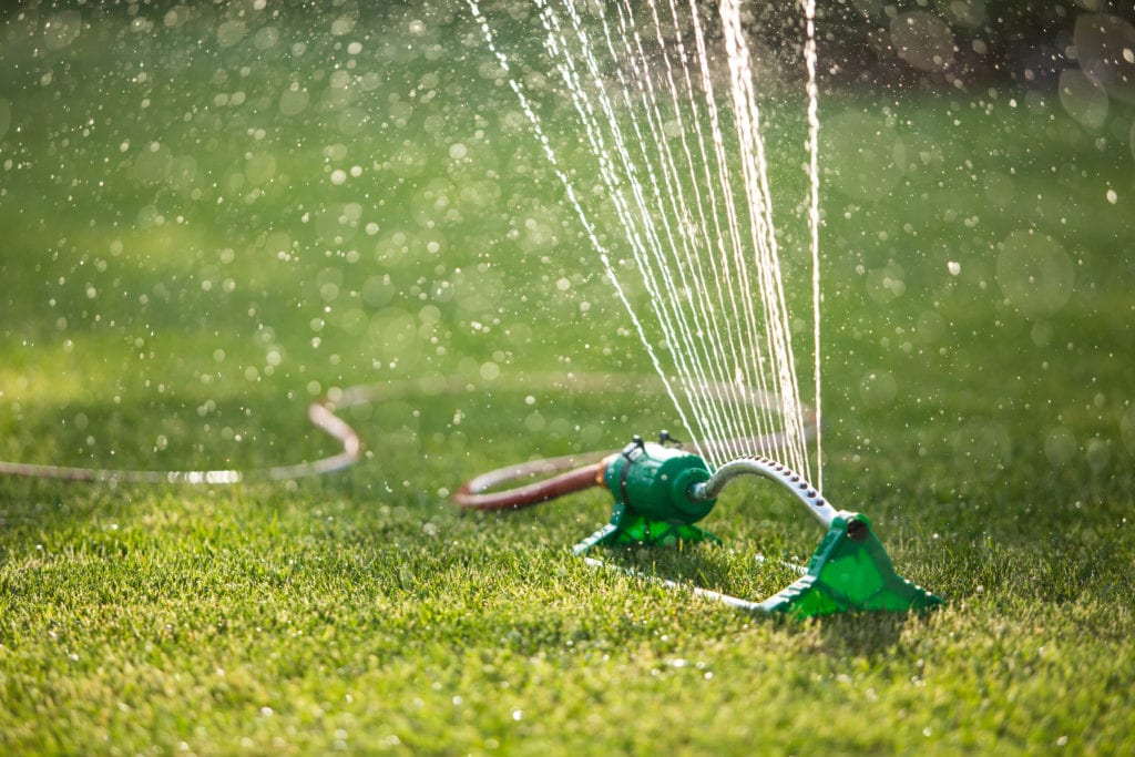 Lawn sprinkler watering green grass