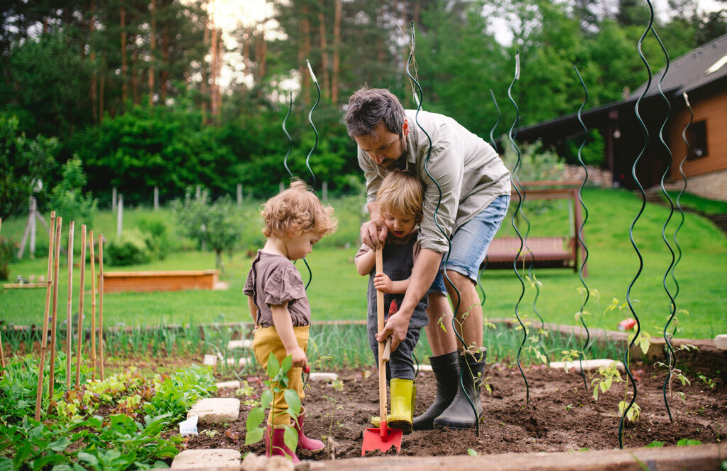 A man with daughter in the garden, planting seedlings.