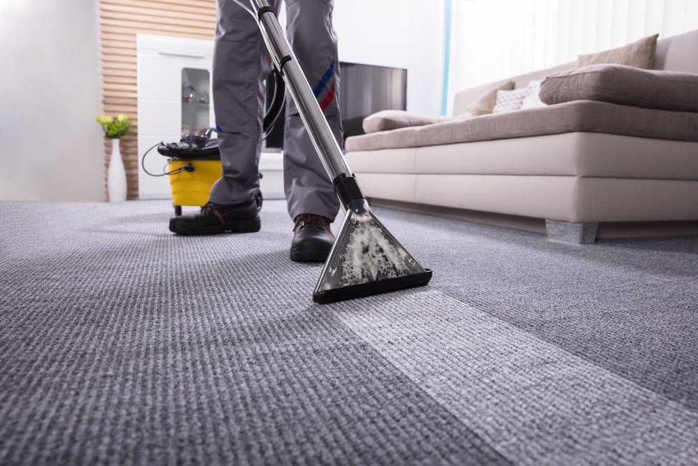 Professional Carpet Cleaning