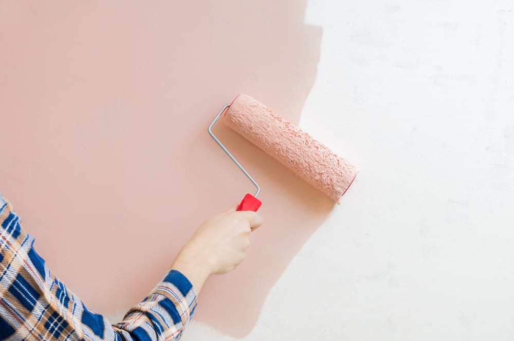 A woman paints her wall a rose color, carefully choosing the right paint sheen.