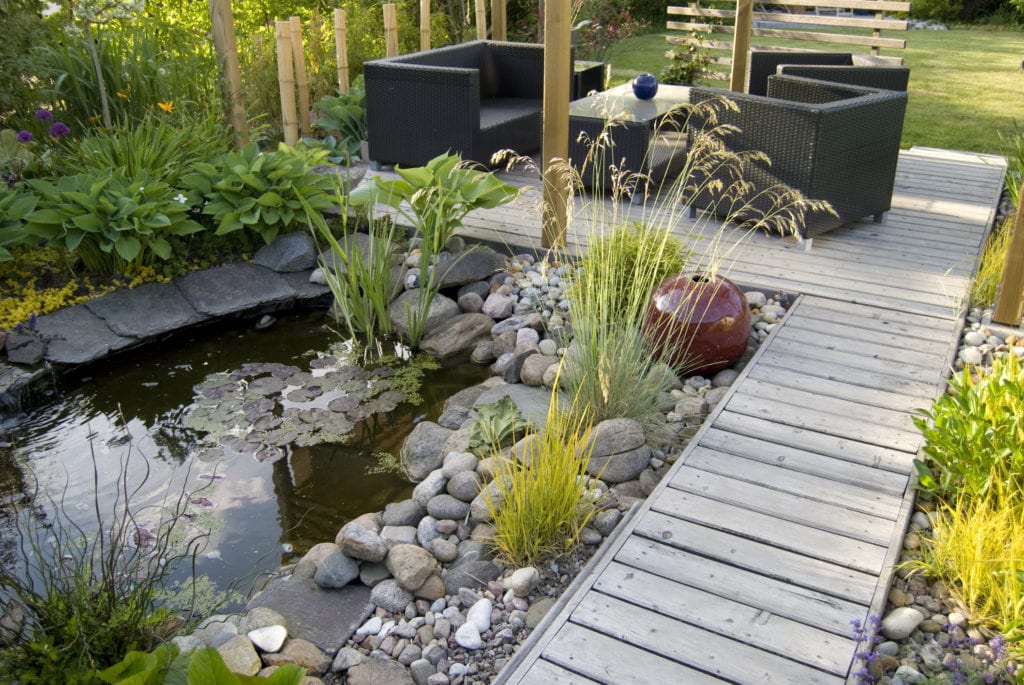 Patio and pond in the afternoon sun