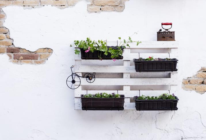 Pallet used for backyard vertical garden